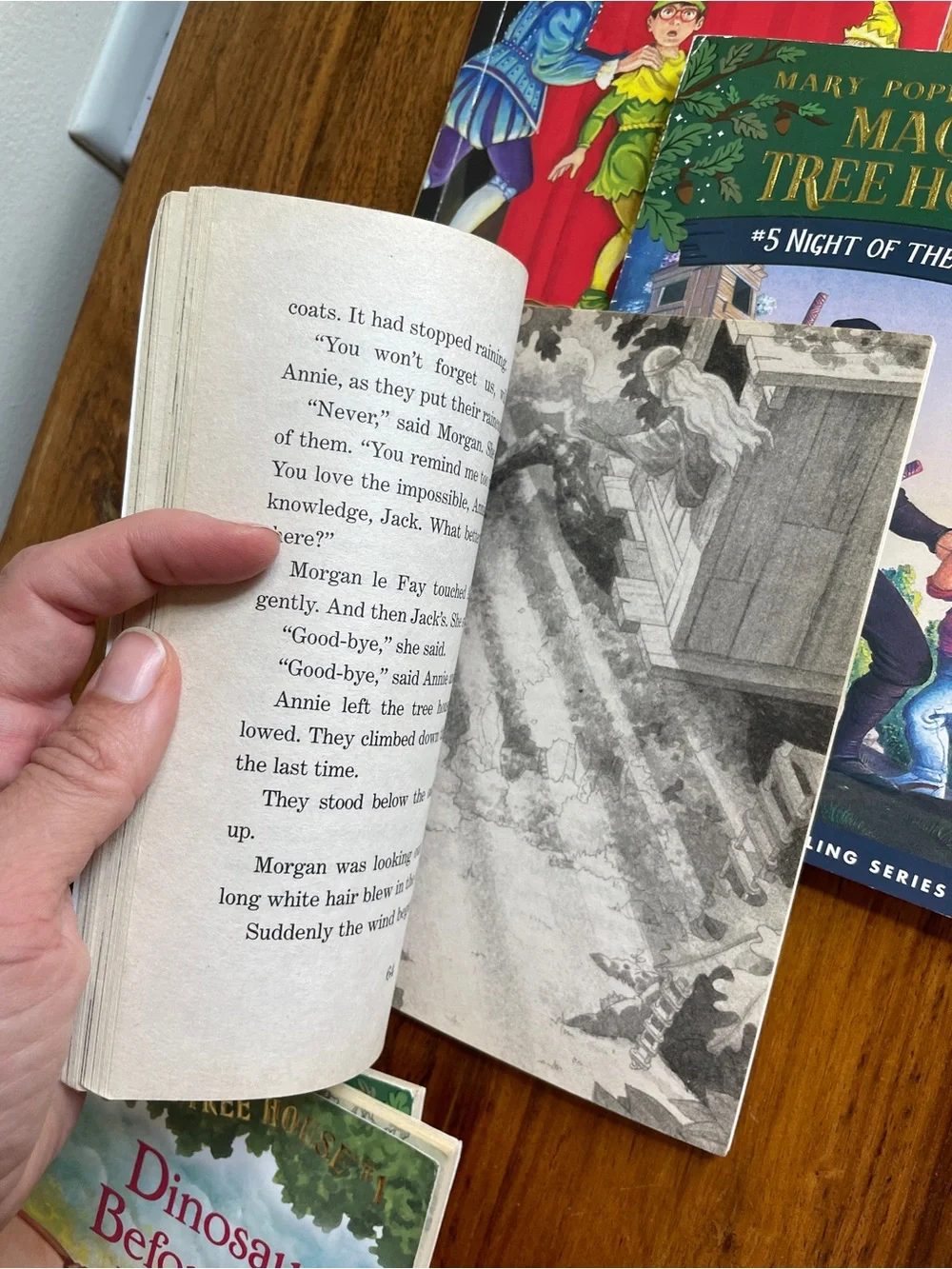 Mary Pope Osborne Magic Tree House Kids Book Set of 6 - Gently used